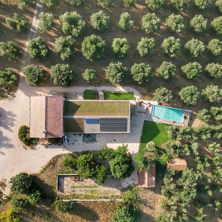 Agriturismo Casette Del Forno مونتالتو دي كاسترو المظهر الخارجي الصورة