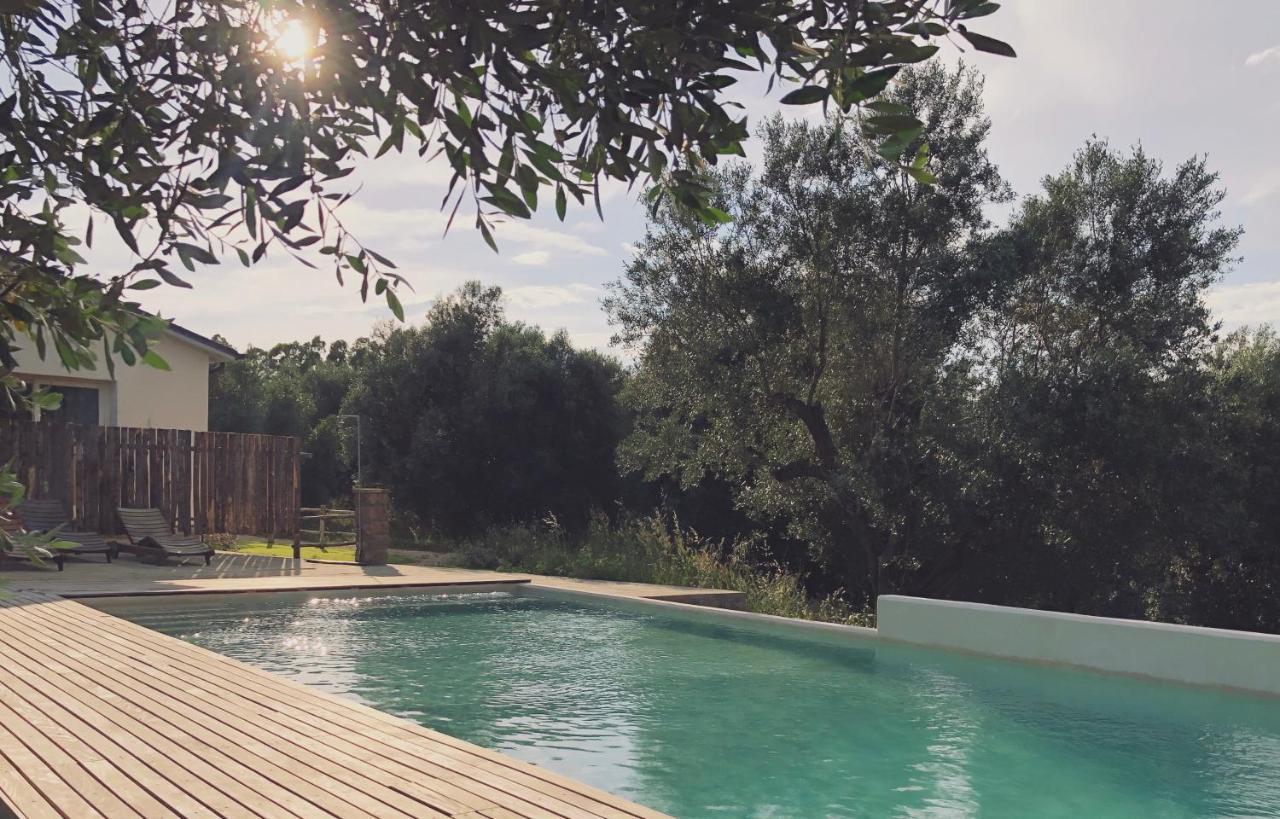 Agriturismo Casette Del Forno مونتالتو دي كاسترو المظهر الخارجي الصورة